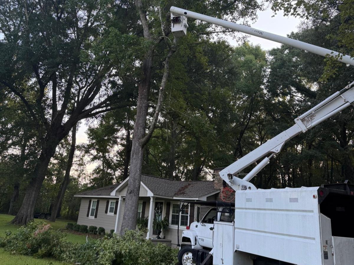 El Costeño Tree Service LLC